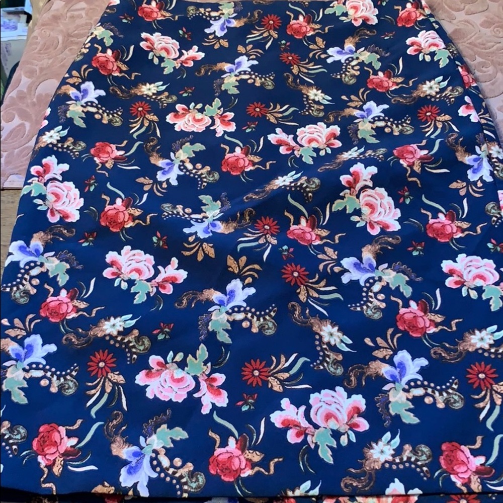 🎉💕Brand New Philosophy Clothing Flowered Skirt🌸